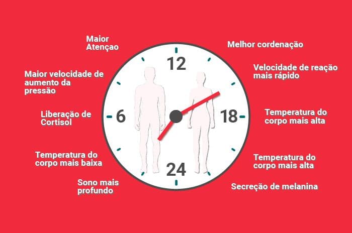 relógio mostrando diferentes momentos do ciclo biológico